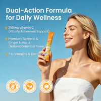 Kurkuma Gember Vitamine C Fizzystick Pakket Poeder Immuun Gezondheid Energie Elektrolyten Volwassenen OEM/ODM Privélabel