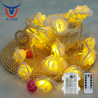 Luces Decorativas LED con Clasificación IP44, Blanco Cálido, 3m/4m para el Día de San Valentín