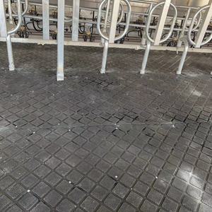 <span class=keywords><strong>3</strong></span> 년 보증 암소 고무 바닥 젖소 착유 응접실 장비 말 안정적인 고무 바닥재 - Product Image 5