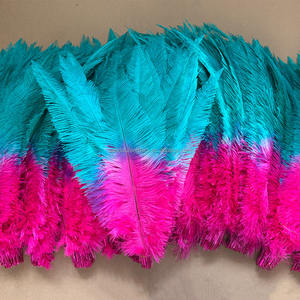 Nuevo producto 18-20 "45-50 cm Dos tonos de avestruz teñida blanqueada <span class=keywords><strong>Nandu</strong></span> - Product Image 2