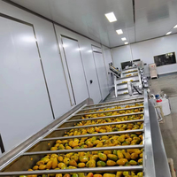 Complete automatische NFC rauwe gemengde mangosap productielijn fabriek