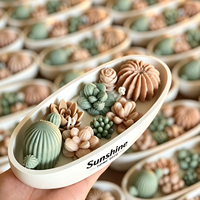 Bougies parfumées originales en forme de bateau ovale avec logo personnalisé, pour plantes succulentes, multicolores, pour la décoration intérieure et les cadeaux