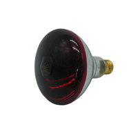Nouvelle lampe chauffante infrarouge rouge Shangqingtai 220V, verre anti-explosion, équipement d'élevage avicole pour usage agricole