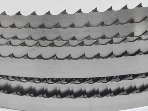 Lama per sega a nastro da macellaio per taglio di carne e ossa da 1650mm - Product Image 2