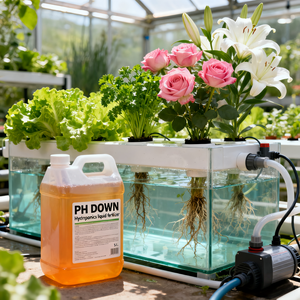 <span class=keywords><strong>Engrais</strong></span> liquide <span class=keywords><strong>hydroponique</strong></span> organique PH Down pour NFT/<span class=keywords><strong>culture</strong></span> en eau profonde/goutte à goutte, 81% d'acide phosphorique, régulateur de pH, croissance des plantes - Product Image 2