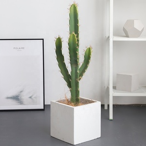 Piante Artificiali di <span class=keywords><strong>Cactus</strong></span> e Bonsai in Plastica - Decorazione Realistica Alta per Ufficio Resistente all'Acqua ed Ecologica - Product Image 1