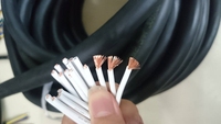 Cable de Alimentación de Bajo Voltaje Socapex ST de 19 Núcleos, 50/100 Pies, Extensión Macho-Hembra, Conductor de Cobre, Aislamiento de Goma, Personalizado