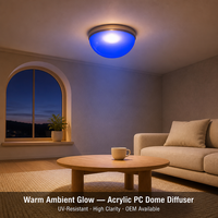 Couverture de dôme transparente en polycarbonate pour lucarne, panneau de toiture en plastique, couverture de ventilation lumineuse pour projet de toiture de bâtiment