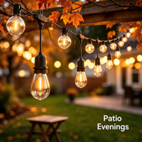 Guirlande lumineuse LED vintage de 28 pieds, 13 ampoules en verre transparent, lumière blanc chaud, étanche IP65, fil noir, dimmable, décoration pour patio et jardin