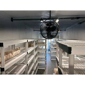 Système hydroponique de culture de champignons en conteneur avec structure en acier, faible coût, stable, pour la <span class=keywords><strong>production</strong></span> alimentaire agricole - Product Image 1