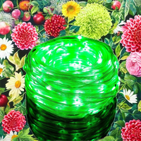 Guirlande Lumineuse Extérieure Scintillante pour Fêtes et Jardins, Étanche IP65, 10M, Blanc Chaud Dimmable, Alimentée par Batterie Rechargeable, pour Noël