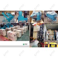 Nouvelle machine de traitement des aliments pour animaux OEM, mini, pour la fabrication de granulés de son de blé, personnalisable, capacité de 200 kg/h