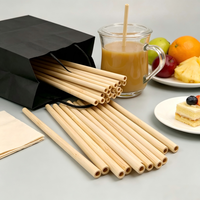 Pailles jetables en bambou naturel de qualité alimentaire, écologiques et biodégradables, idéales pour les bars, les fêtes et les boissons – Vente chaude