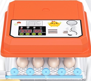 Bán Buôn 12 24 36 64 128 192 256 Trứng Lồng Ấp Hoàn toàn Giá Rẻ Giá Gà Vịt Chim Cút Sử Dụng Giá Cả Phải chăng Mini Lồng Ấp - Product Image 3