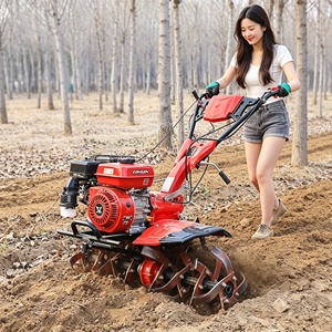 Cultivateur à chaîne puissant pour terrains difficiles, performance à couple élevé - Product Image 1