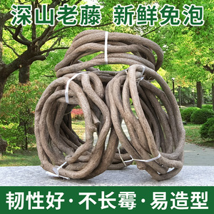 Bandes de vigne artificielle séchée en rotin, fabriquées à <span class=keywords><strong>la</strong></span> machine, pour <span class=keywords><strong>la</strong></span> décoration de paysages pastorale, type vigne de <span class=keywords><strong>montagne</strong></span> rouge - Product Image 3