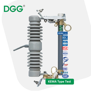 Dgg מתח גבוה/hv חיצוני <span class=keywords><strong>11kv</strong></span> ירידה החוצה קו הפצה גירוש קו ההגנה שנאי-לשעבר הגנה על פולימר - Product Image 5