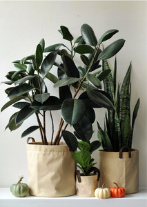 Couvercle de panier pour plantes en toile cirée d'intérieur, conteneur de stockage, panier à jouets, sac à fleurs - Product Image 5