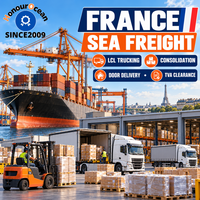 Agent de Consolidation de Fret Maritime en France, Transport LCL, Livraison Porte-à-Porte Chine, Service de Dédouanement TVA