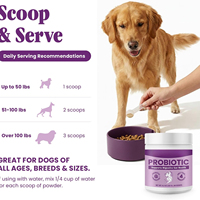 Complément alimentaire probiotique pour animaux de compagnie OEM, favorisant la santé intestinale et digestive chez les chiens et les chats tout en améliorant l'immunité