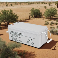 Batterie Gel Solaire AHONY Nouvelle Énergie 12V 50Ah 100Ah 150Ah 200Ah, Batteries au Plomb-Acide pour Stockage Solaire Certifiées MSDS, 1000 Cycles