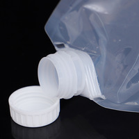 Sacs à eau Mayler en plastique 5L 10L avec poignée Pochette d'extérieur portable de couleur bleue transparente solide à prix abordable écologique