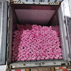 Ail frais chinois 4 KG Emballage en sac en filet Exportation vers Dubaï Taille 5cm 5.5cm <span class=keywords><strong>Prix</strong></span> bas Ail frais pur blanc - Product Image 5