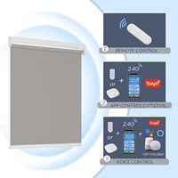 Stores et volets occultants intelligents motorisés électriques à commande à distance Zigbee personnalisés pour l'intérieur de la maison