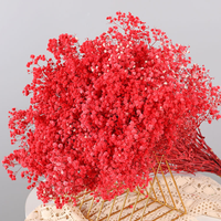 Fabrieksgroothandel Gedroogde Baby's Breath, 20+ Kleuren Gemengd Real Touch Droge Gypsophila Bloemen 120g Bruiloft, Pasen Feestdecoratie
