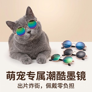 Fabricante de gafas para gatos, venta al por mayor de gafas creativas y modernas para perros, accesorios para mascotas, gafas divertidas de estilo hip-hop para mascotas - Product Image 4