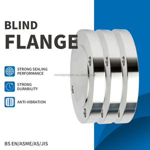 شفة عمياء من الفولاذ المقاوم للصدأ مقاومة للحرارة العالية لصناعة البترول من DN15 إلى DN600 - Product Image 1