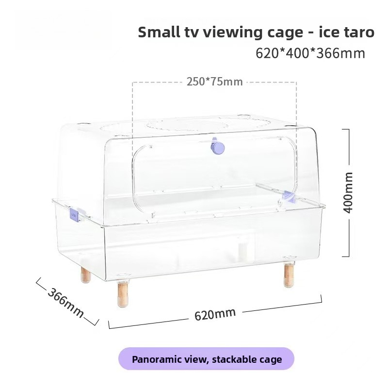 04-Taro professionnel