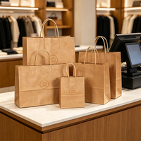Sac de shopping en papier kraft écologique recyclable personnalisable avec poignée pour la vente au détail de vêtements, d'épicerie et d'emballages cadeaux