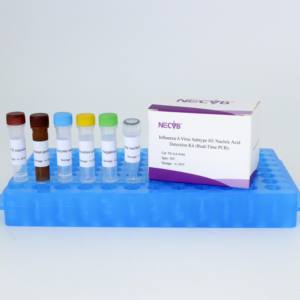 H1 Subtype RT-<span class=keywords><strong>PCR</strong></span> Kit CE IVD sertifikalı 50 <span class=keywords><strong>test</strong></span> hızlı ve doğru sonuçlar - Product Image 1