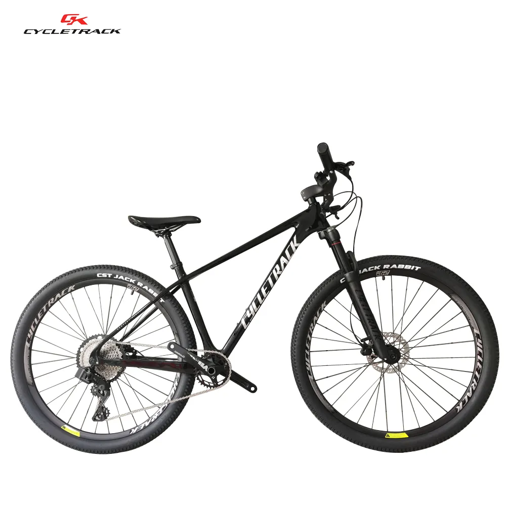 High Quality Suspension Mtb Cycletrack Carbon Fiber Frame Mountain Bike