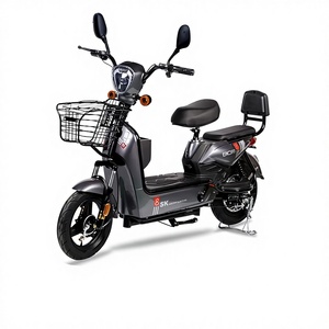 Bicicleta Eléctrica Personalizada de Fábrica TDT182Z de 14 Pulgadas, Scooter Urbano de 48V con Motor en el Buje Delantero, Asistencia al Pedaleo, Autonomía de 45-55km, Nueva Versión Nacional - Product Image 1