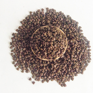 Toplu Palatable yüksek Protein kuru köpek maması-All-Breed yavru formülü - Product Image 2
