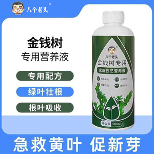 Solution nutritive spéciale Eight Old Men Money Tree 300ml, nourriture liquide pour plantes d'intérieur - Product Image 3