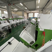 Trieuse de couleurs en plastique CCD intelligente haute capacité pour équipement agricole produit de nouvelle génération