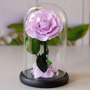 Rosa Preservada del Principito en Cúpula de Cristal, Regalo para el Día de San Valentín, Decoración para el Hogar, Regalo para el Día de la Madre - Product Image 2