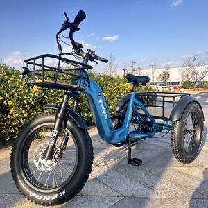 Tricycle électrique à 7 vitesses avec capteur, batterie lithium 48V 15Ah, moteur 250W, pneus larges, 3 roues, vélo électrique, stock UK - Product Image 1