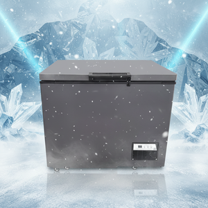 Congélateur coffre commercial <span class=keywords><strong>à</strong></span> porte unique avec couvercle supérieur pour aliments surgelés, crème glacée, viande, <span class=keywords><strong>à</strong></span> haute efficacité énergétique - Product Image 1