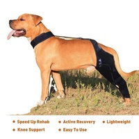 Quantité minimale de commande bas de jambe arrière réglable pour chien vente à chaud vente en gros de genouillère/attelle de soutien en métal pour chien