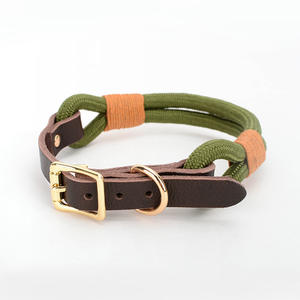 Cuerda lisa de nailon para mascotas, correa de cuero para perro, cadena de p, <span class=keywords><strong>collar</strong></span> y correa personalizada naranja, venta al por mayor - Product Image 5