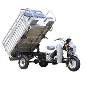 Triciclo de Pasajeros de Gasolina Cerrado de 250cc, Vehículo de 3 Ruedas con Cabina para Uso en Todo Clima - Product Image 5