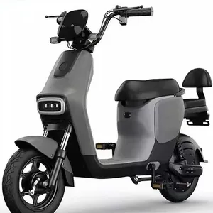 도매 2024 NEW 중국 공장 직접 도매 48v12a 20a 브러시리스 모터 성인 전기 자전거 중국산