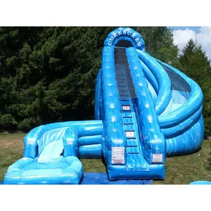 Commercial Manufacturer Inflatable Dry Pool Water Slide