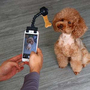 Clip de téléphone pour selfie pour animaux de compagnie, avec jouet en forme d'os pour chiens et chats, jouet interactif pour caméra, en plastique, 50g - Product Image 1