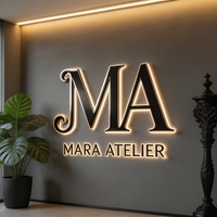 Lettres rétroéclairées en acier inoxydable de haute qualité, bandes LED, étanches IP65, durables, alimentation par prise, personnalisables pour voitures et hôtels
