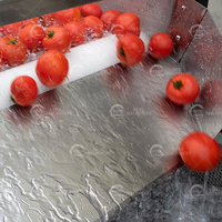 Hexu Automatische Hogedruk Spuitborstel Wasmachine voor Watermeloen Ananas Cantaloupe Meloen